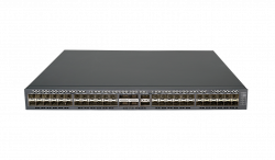 RVi-2NSM48X-2H4Q Коммутатор