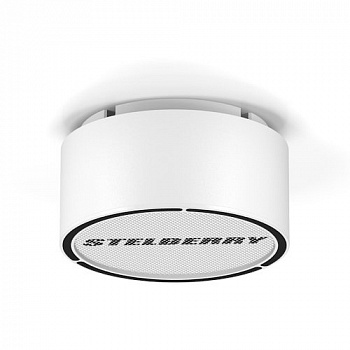 Stelberry F-306W Громкоговоритель потолочно-настенный