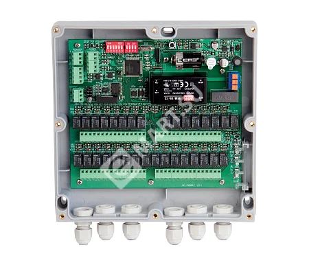 2-removebg-preview (5)