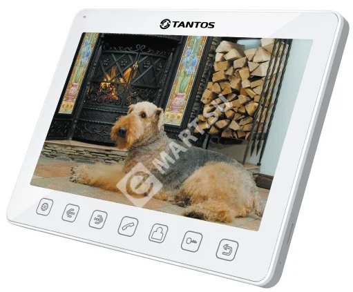 00-00037259_0000039776