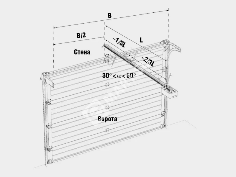 секционные