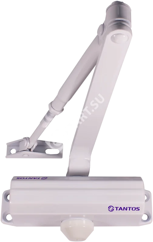 00-00079636_0000062667