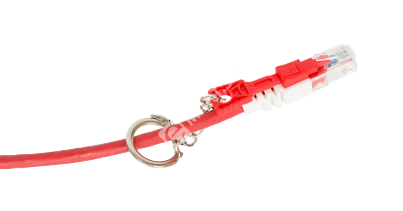 zwxhi7xrivtnj8o7phve4jpxuoh0o3wa